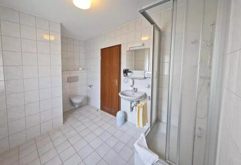 スタンダードシングルルーム, City Hotel Mark Michelstadt