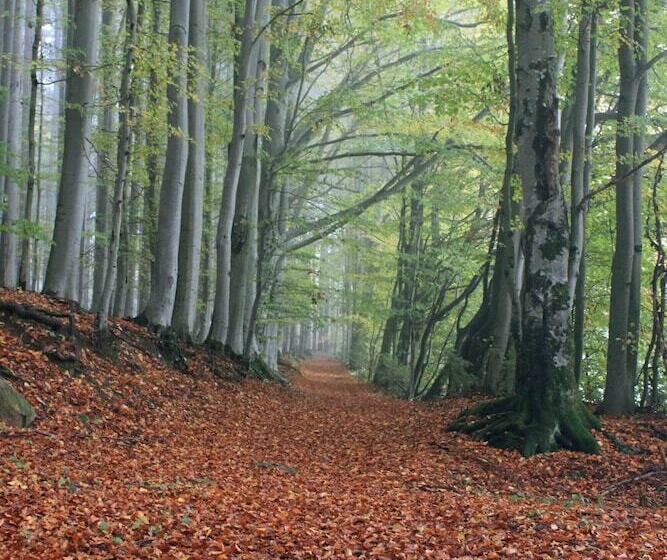 침실 1개 아파트, Haus Jägerfleck