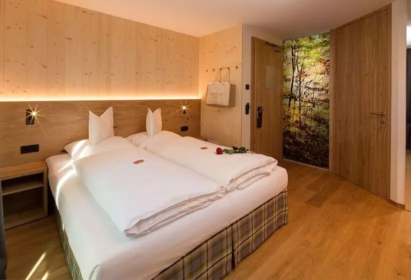 クラシックマウンテンビュールーム, Mountain Design Hotel Edenselva