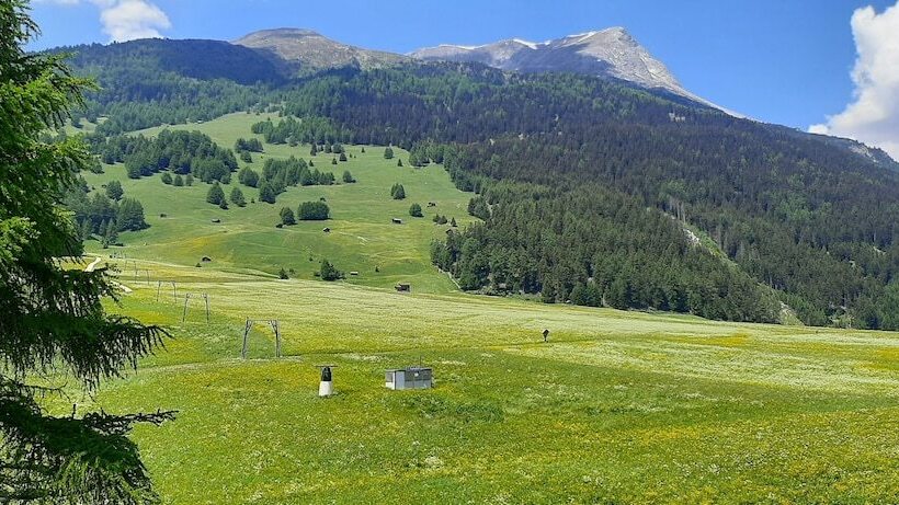 Номер Superior, Reschnerhof