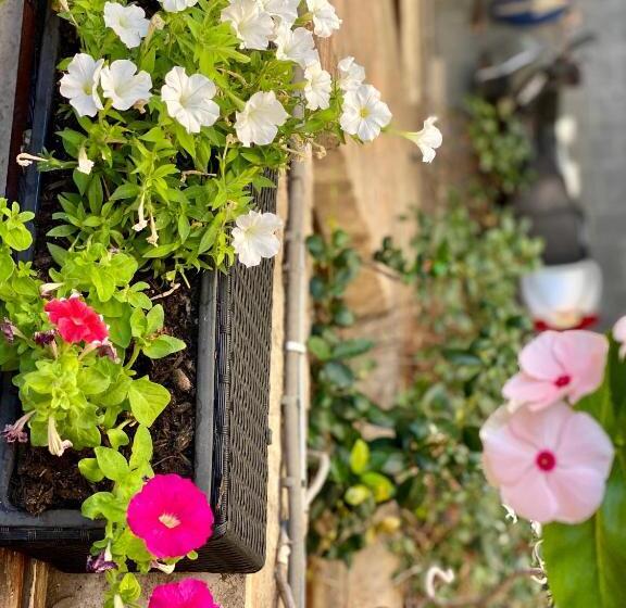 Chambre Triple Standard, S. Ercolano