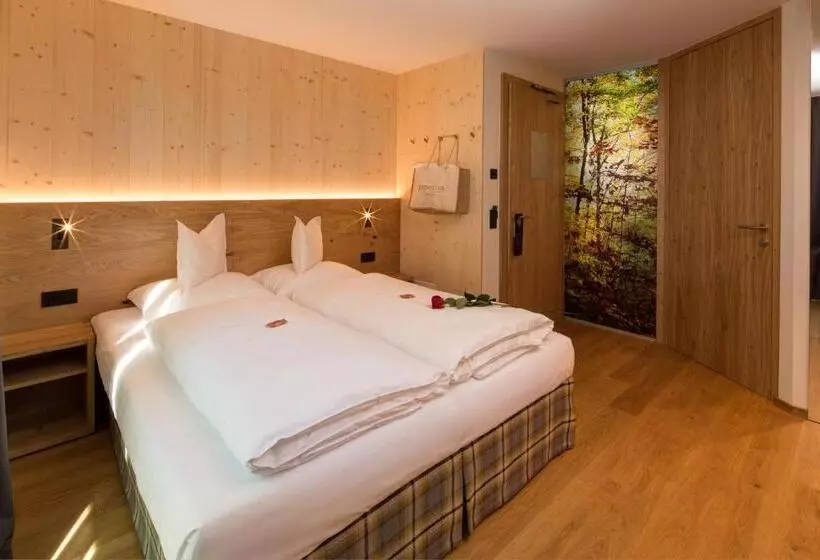 クラシックルーム, Mountain Design Hotel Edenselva