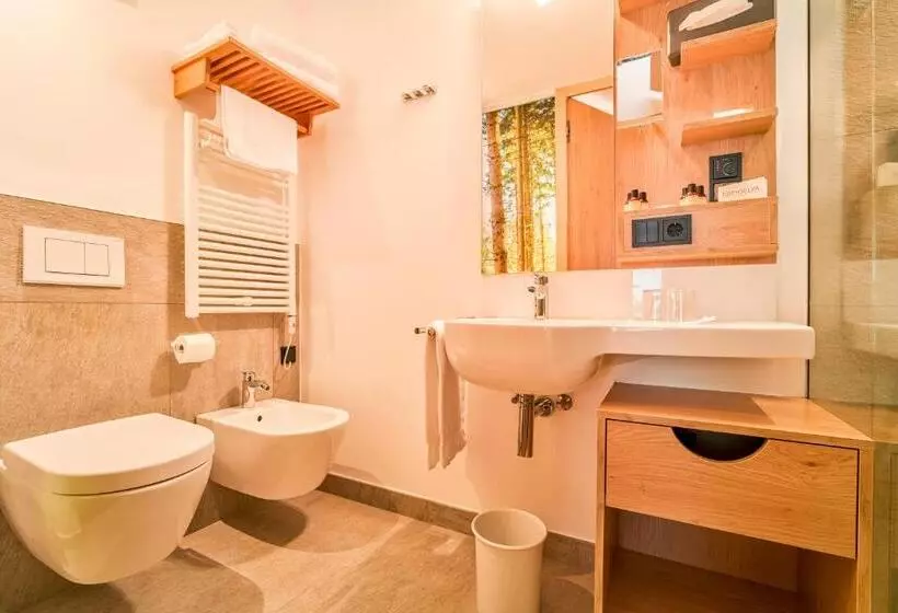 クラシックルーム, Mountain Design Hotel Edenselva
