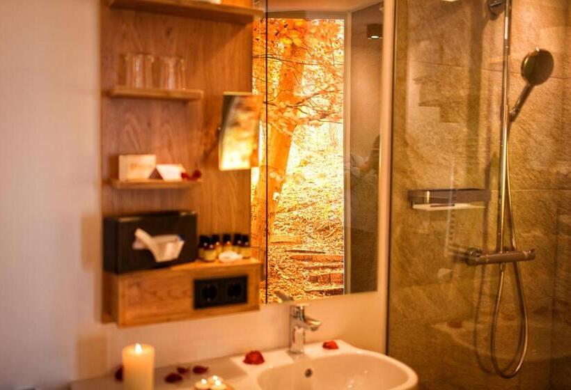 Номер Премиум, Mountain Design Hotel Edenselva