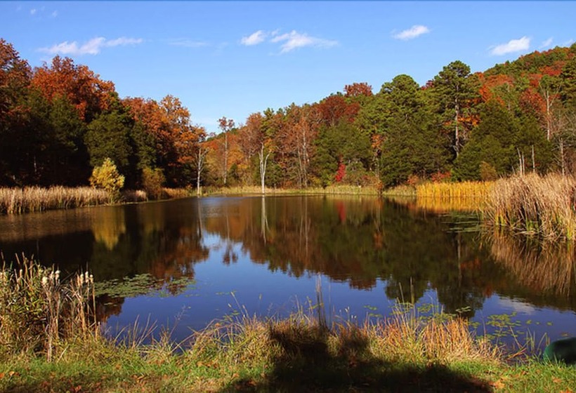 کلبه دلوکس, Cinnamon Valley Resort