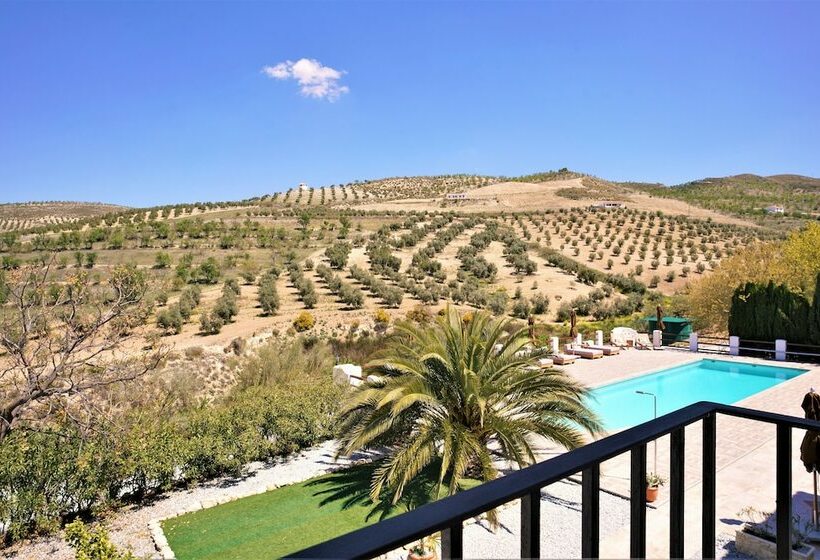 컴포트 룸, El Amparo