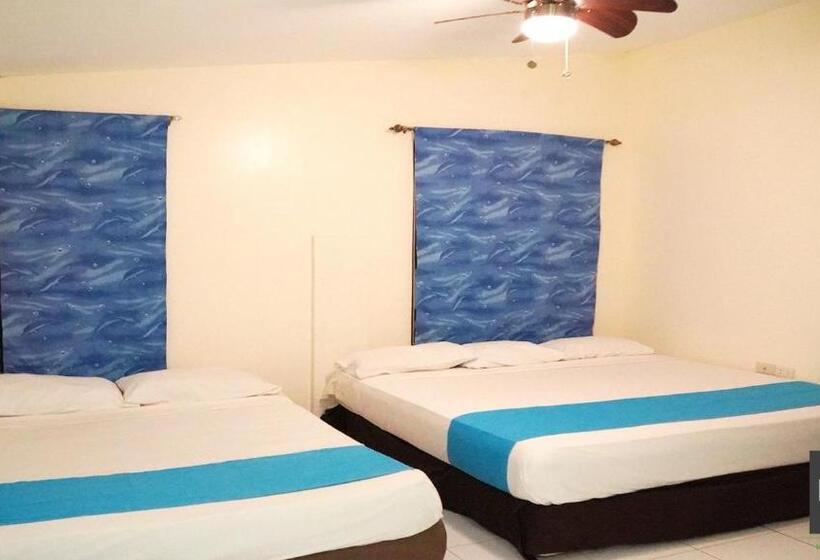 غرفة عائلية, Miami Heat Beach Resort