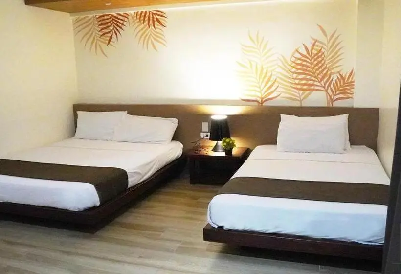 エクゼクティブスイート, Miami Heat Beach Resort