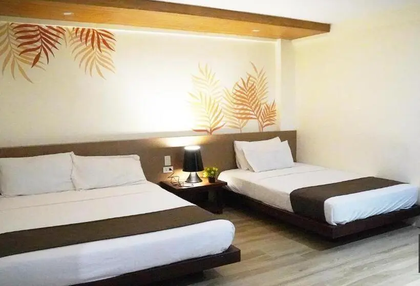 エクゼクティブスイート, Miami Heat Beach Resort