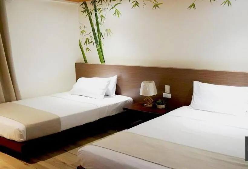 エクゼクティブルーム, Miami Heat Beach Resort