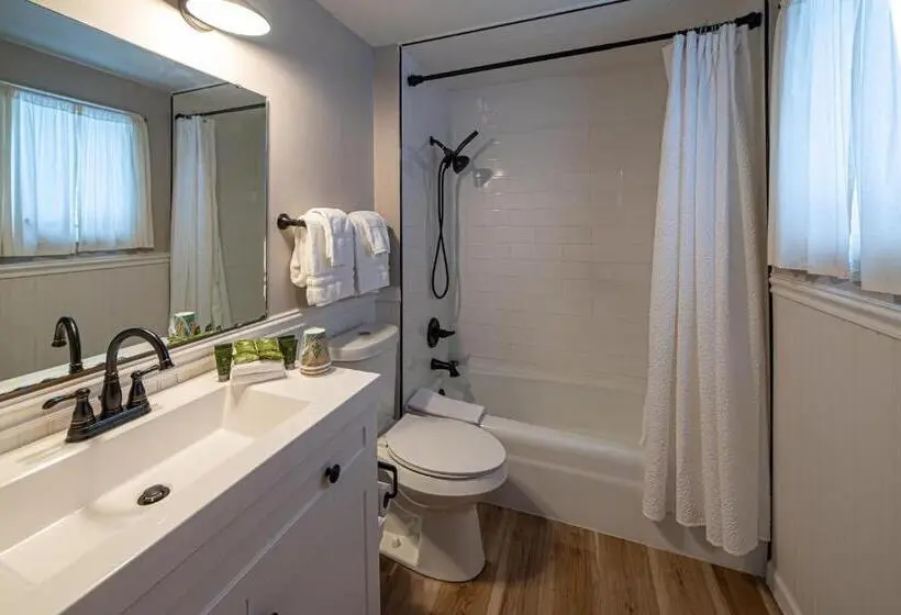 デラックスの４人部屋, Star Gate Motel