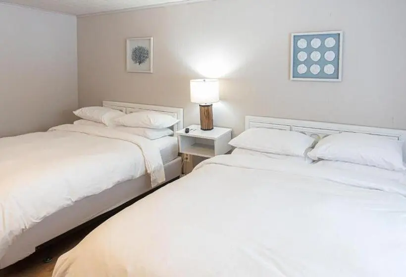 デラックスの４人部屋, Star Gate Motel
