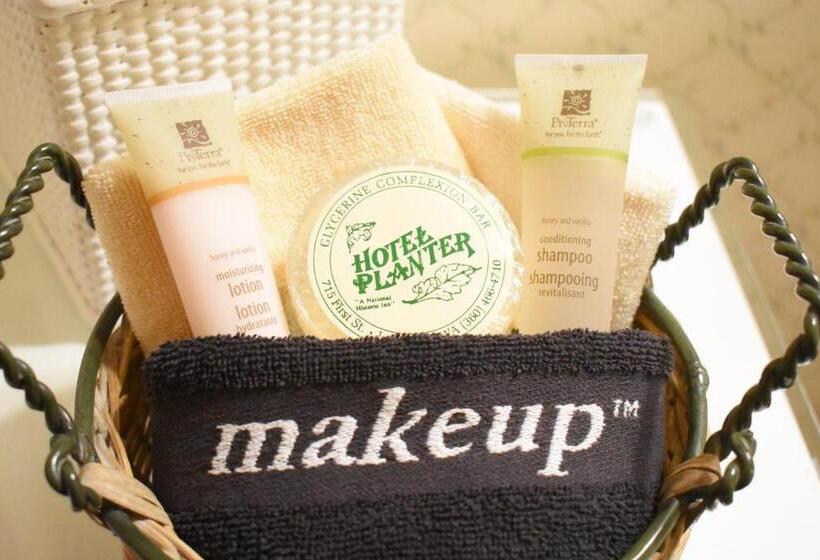 豪华房间, Planter