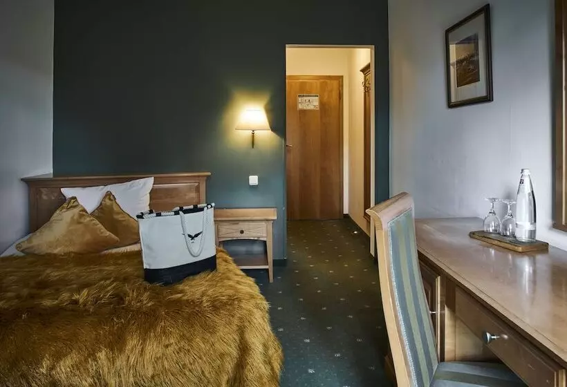 اتاق استاندارد یک نفره, Berghotel Lothar Mai Haus