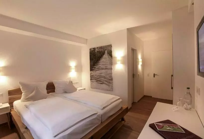 اتاق استاندارد یک نفره, Berghotel Lothar Mai Haus