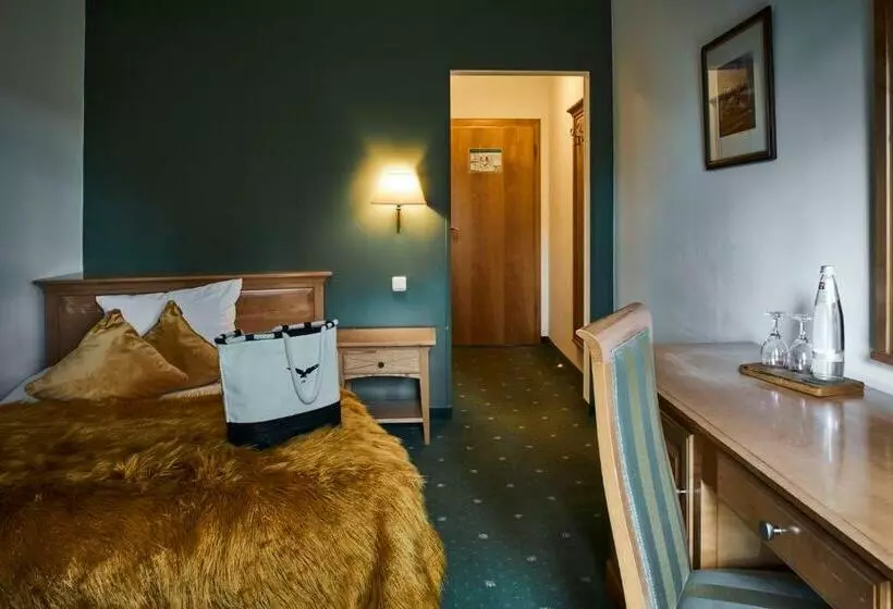 اتاق استاندارد یک نفره, Berghotel Lothar Mai Haus