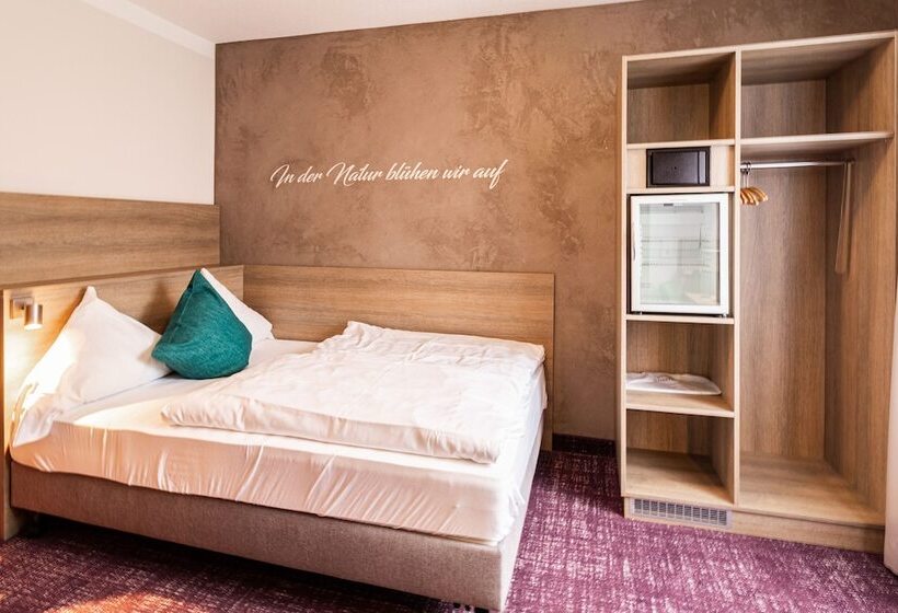 חדר סטנדרט יחיד, Gassbachtal