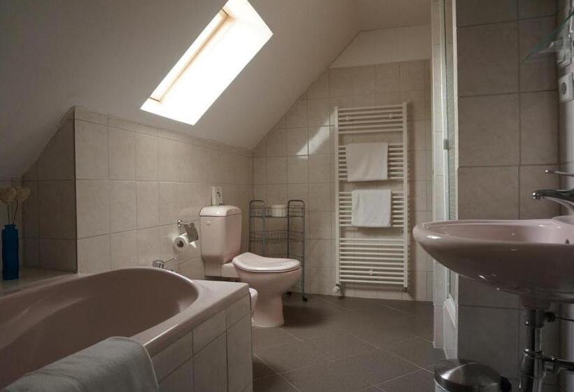 جناح ديلوكس مطل على البحر, Goldener Anker