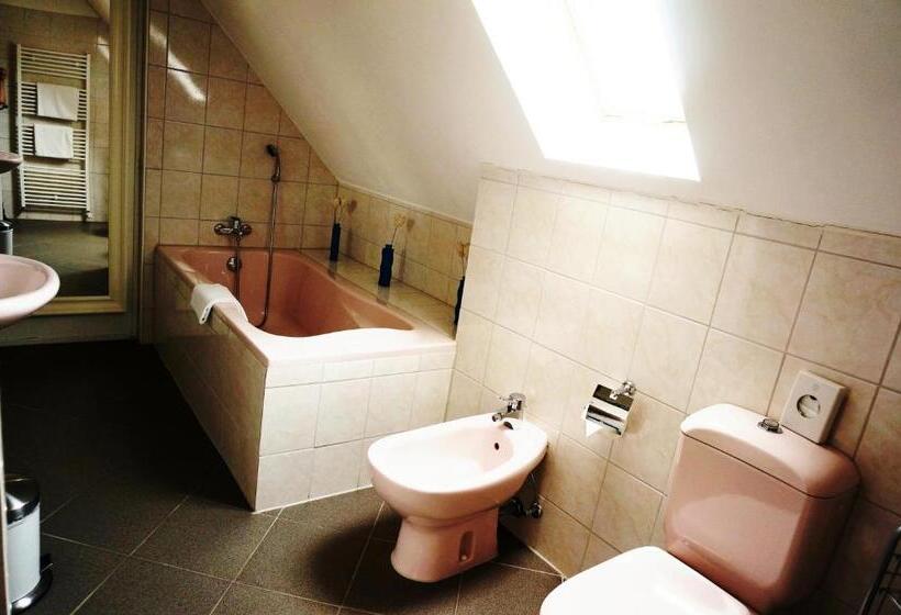 غرفة ديلوكس, Goldener Anker