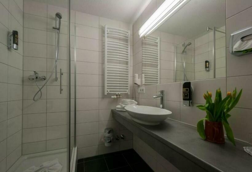 スタンダードシングルルーム, Panoramahotel Kühbergalp