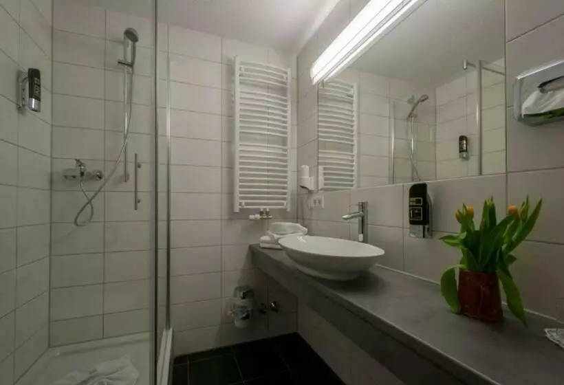 اتاق استاندارد یک نفره, Panoramahotel Kühbergalp