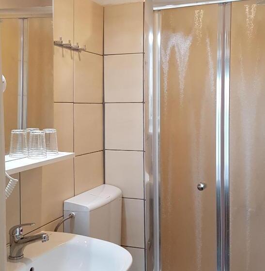 Номер Стандарт, Pansion Begic