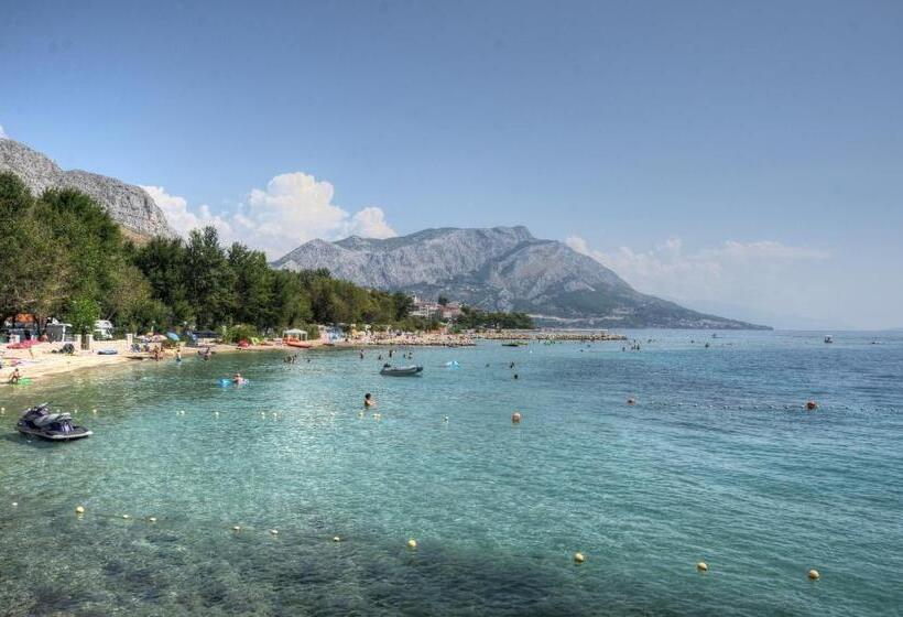 Номер Стандарт Индивидуальный, Pansion Begic