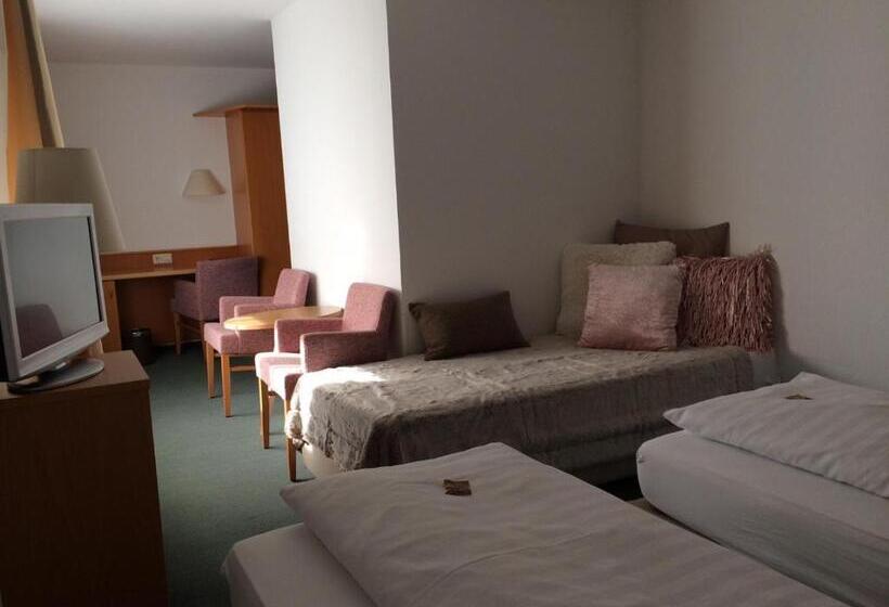 스탠다드 트리플 룸, Schober