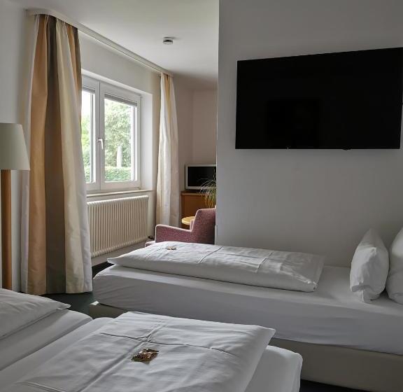 스탠다드 트리플 룸, Schober