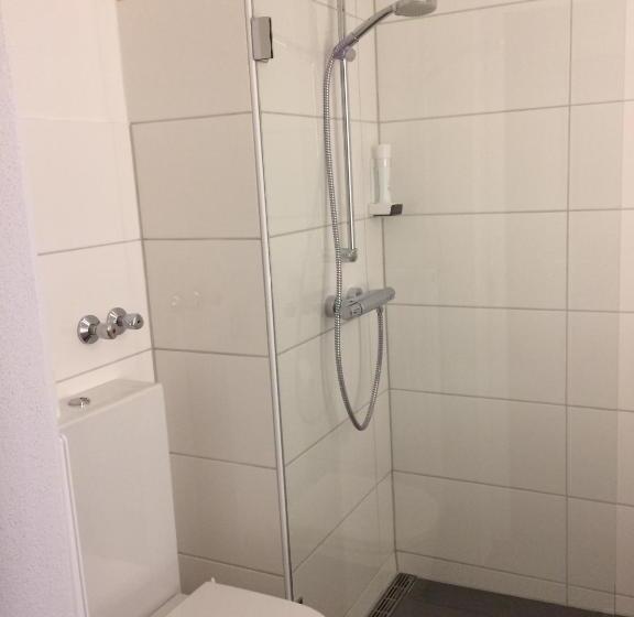 컴포트 싱글 룸, Schober