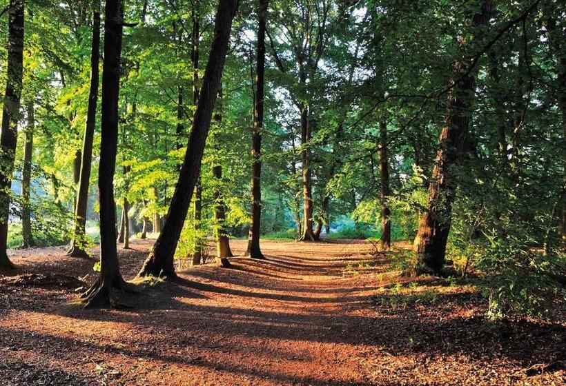 Family Room, Lindenhof Hotel Tepe