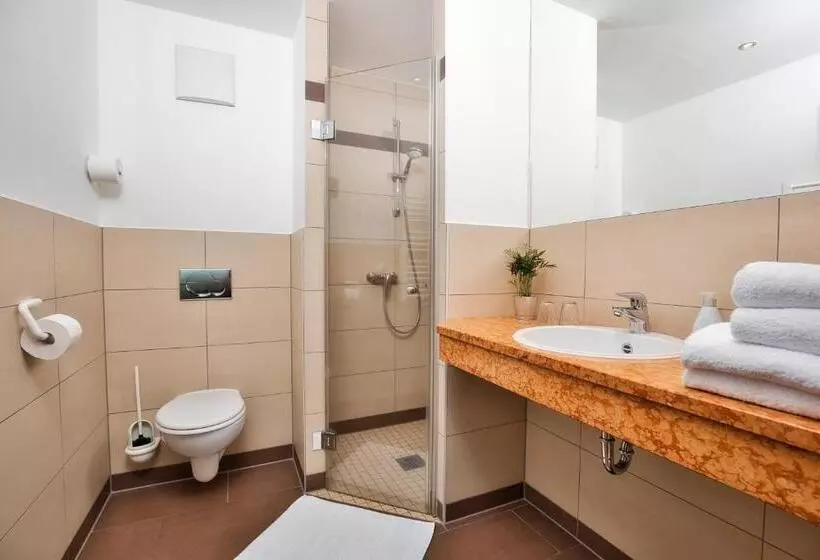 اتاق استاندارد, Berghotel Mooshütte