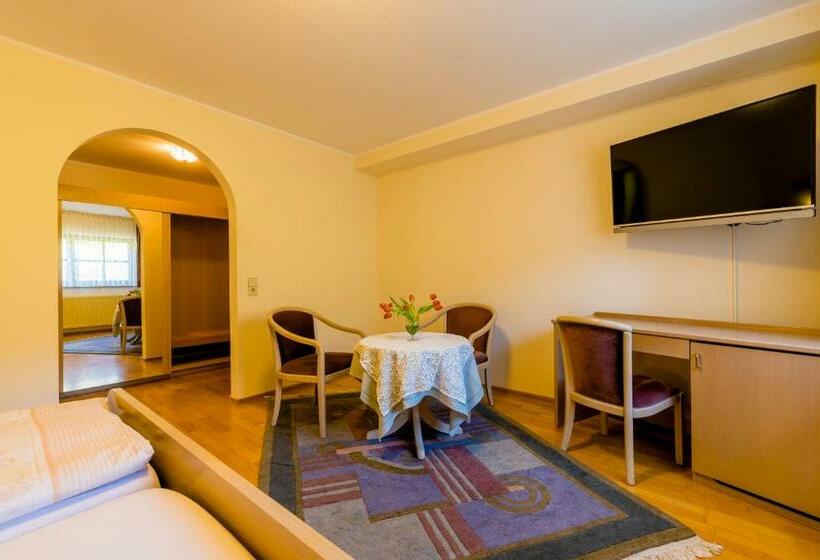 标准单人间, Gästehaus Sonne