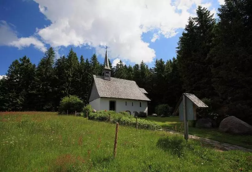 ベーシックルーム, Höhengasthaus Kolmenhof An Der Donauquelle