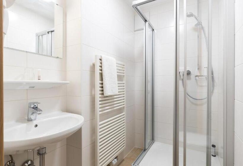 舒适型单人间, Garni Almenrausch Und Edelweiss