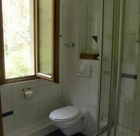 חדר סטנדרט, Grünwald