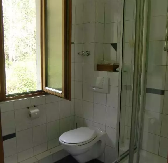 Camera Standard, Grünwald