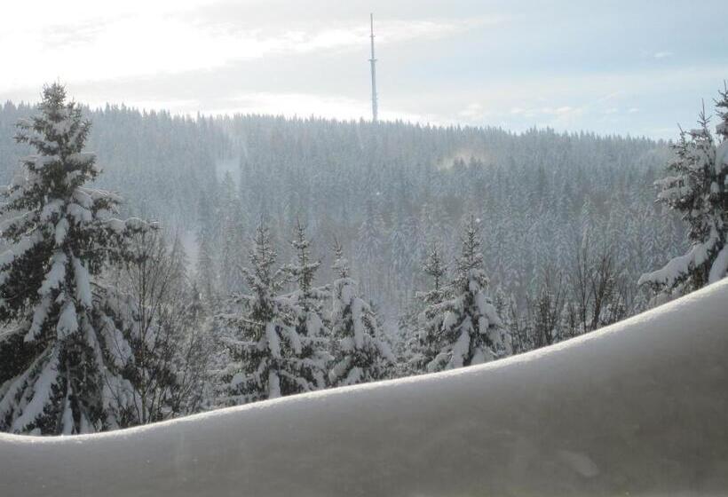 Quarto standart com varanda, Gästehaus Sonneck