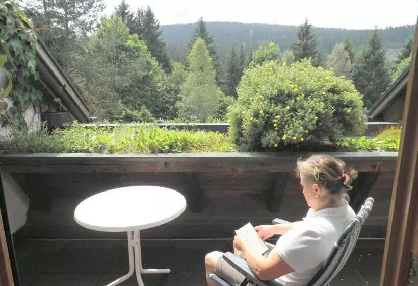 اتاق استاندارد با بالکن, Gästehaus Sonneck