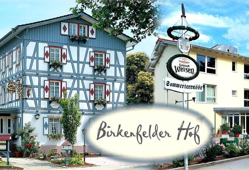 Номер Стандарт Индивидуальный, Landgasthof Birkenfelder Hof