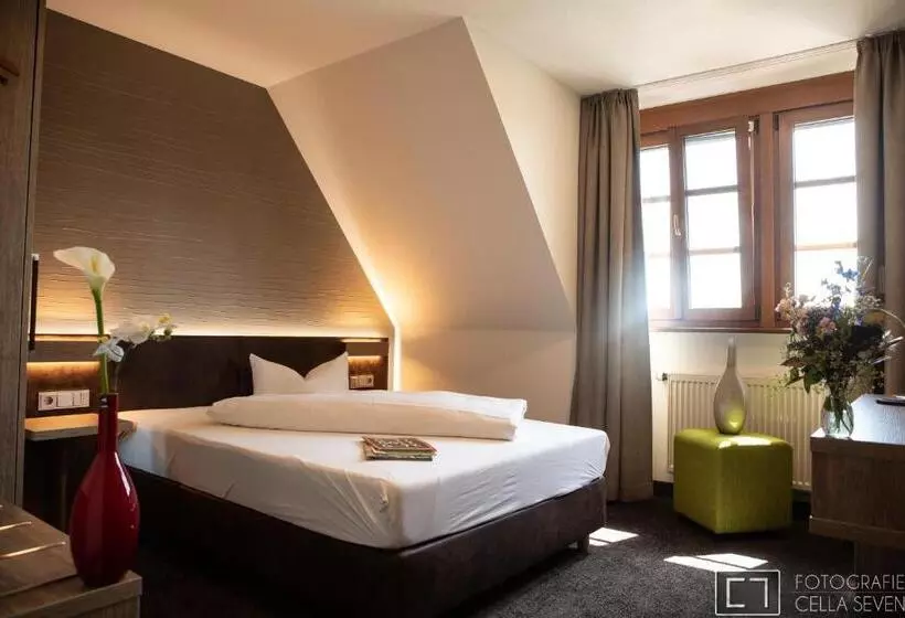 Standard Single Room, Landhotel Geiselwind