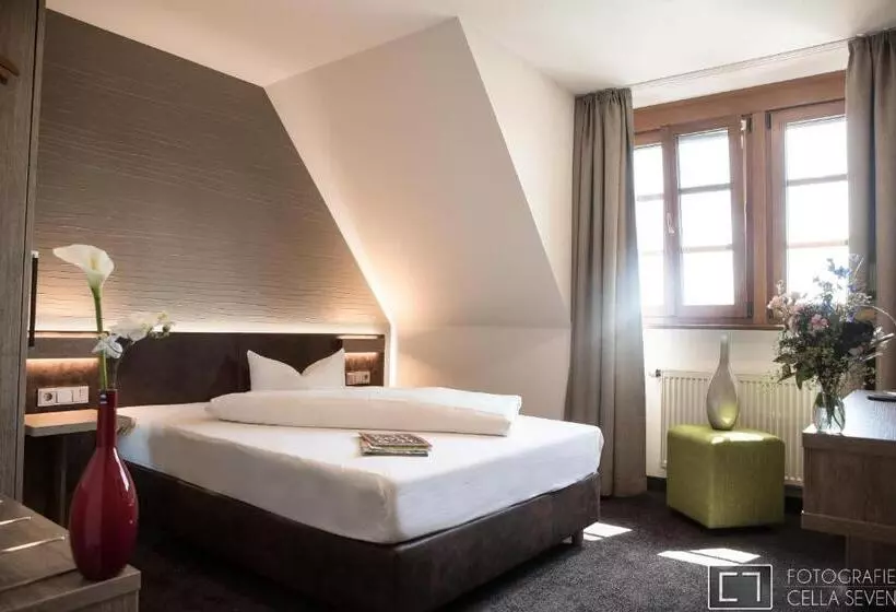 Standard Single Room, Landhotel Geiselwind