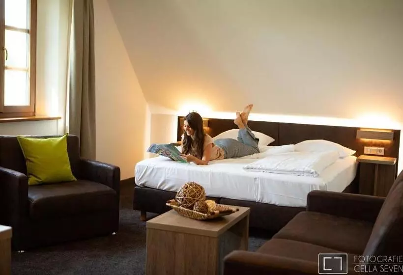 Standard Room, Landhotel Geiselwind