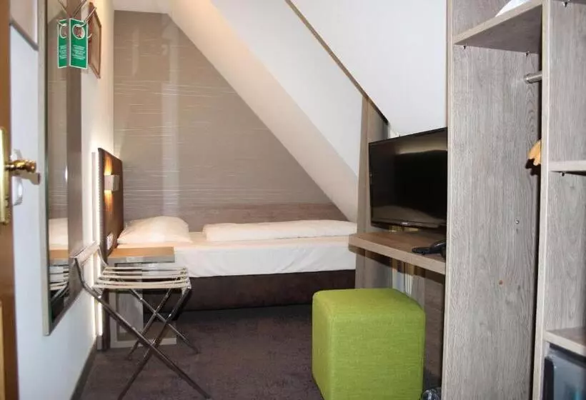 Economy Single Room, Landhotel Geiselwind