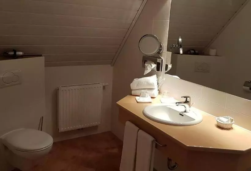 Economy Single Room, Landhotel Geiselwind