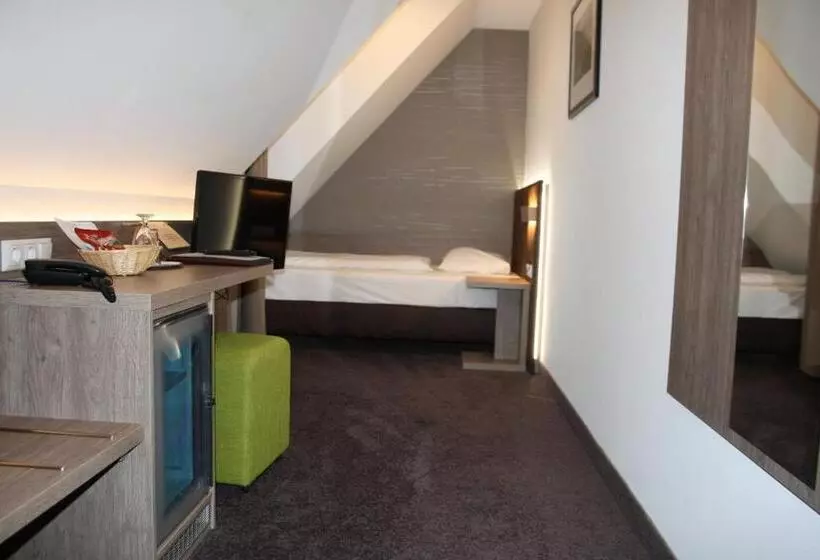 Economy Single Room, Landhotel Geiselwind