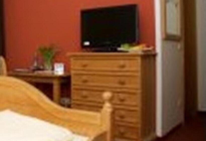 スタンダードシングルルーム, Gasthof Frankenstuben