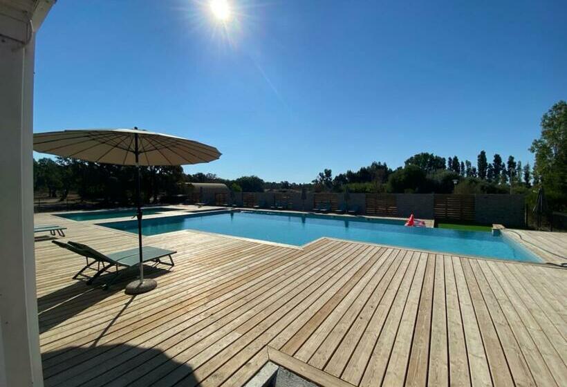 テラス付き1ベッドルームアパートメント, Tra Manna