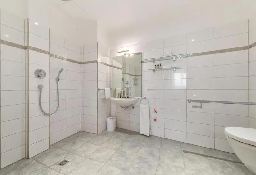 اتاق استاندارد با تخت بزرگ برای معلولان, Art Hotel House One