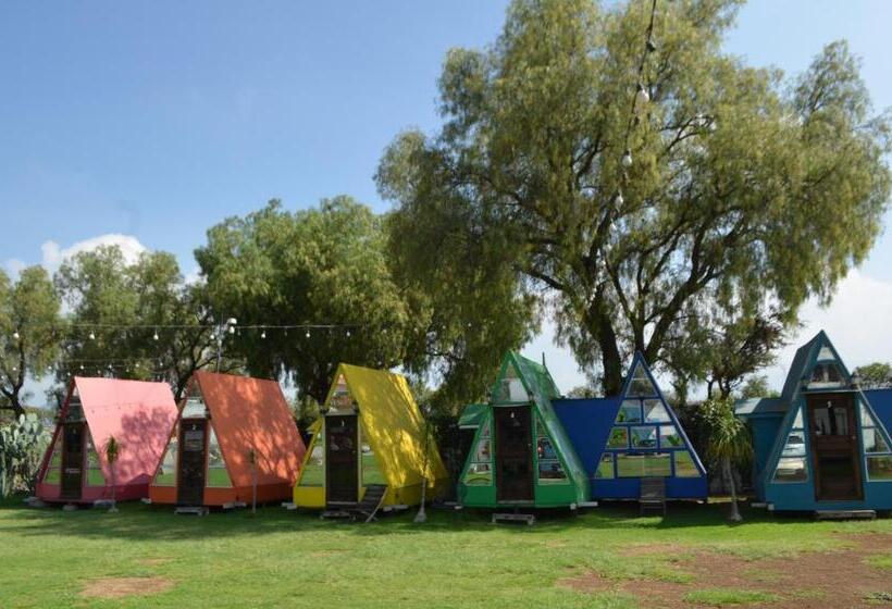 标准间, Vicalis Hotel, Villas Y Glamping